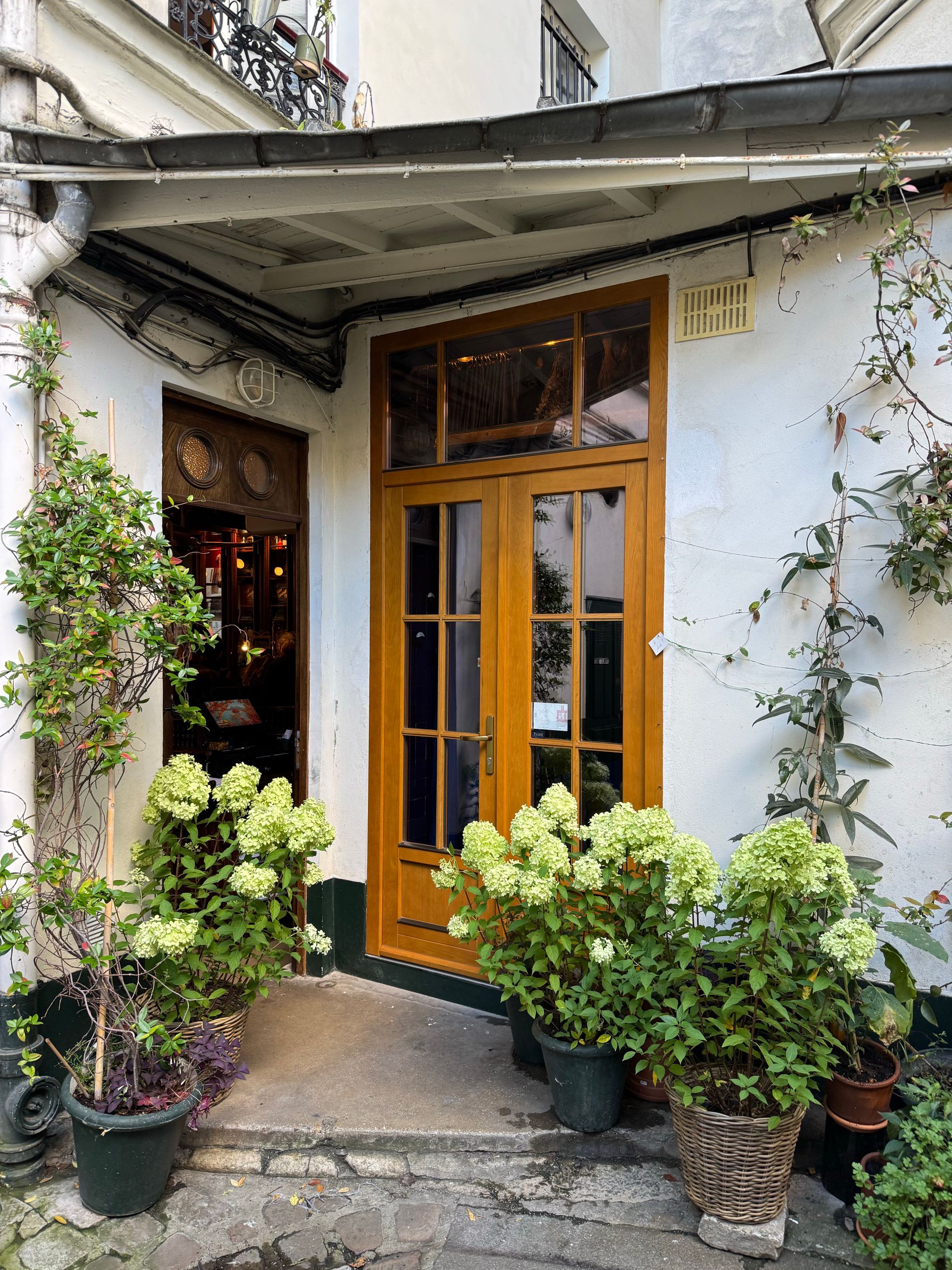 緑に囲まれた温かみのある店舗入口のイメージ